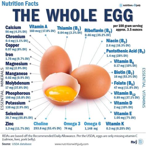 1 Egg Nutrition