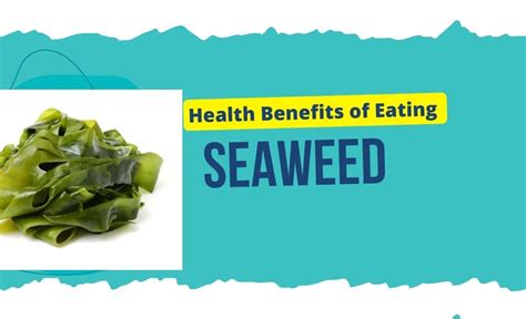 10 Surprising Health Benefits Of Eating Seaweed Resurchify