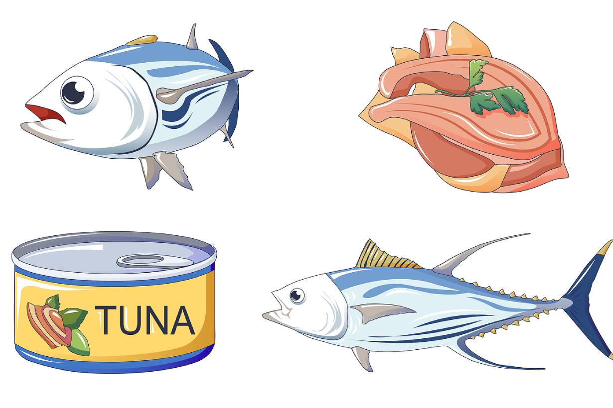 10 Tuna Roll Nutrition Facts For Beginners Nutritionix Careers