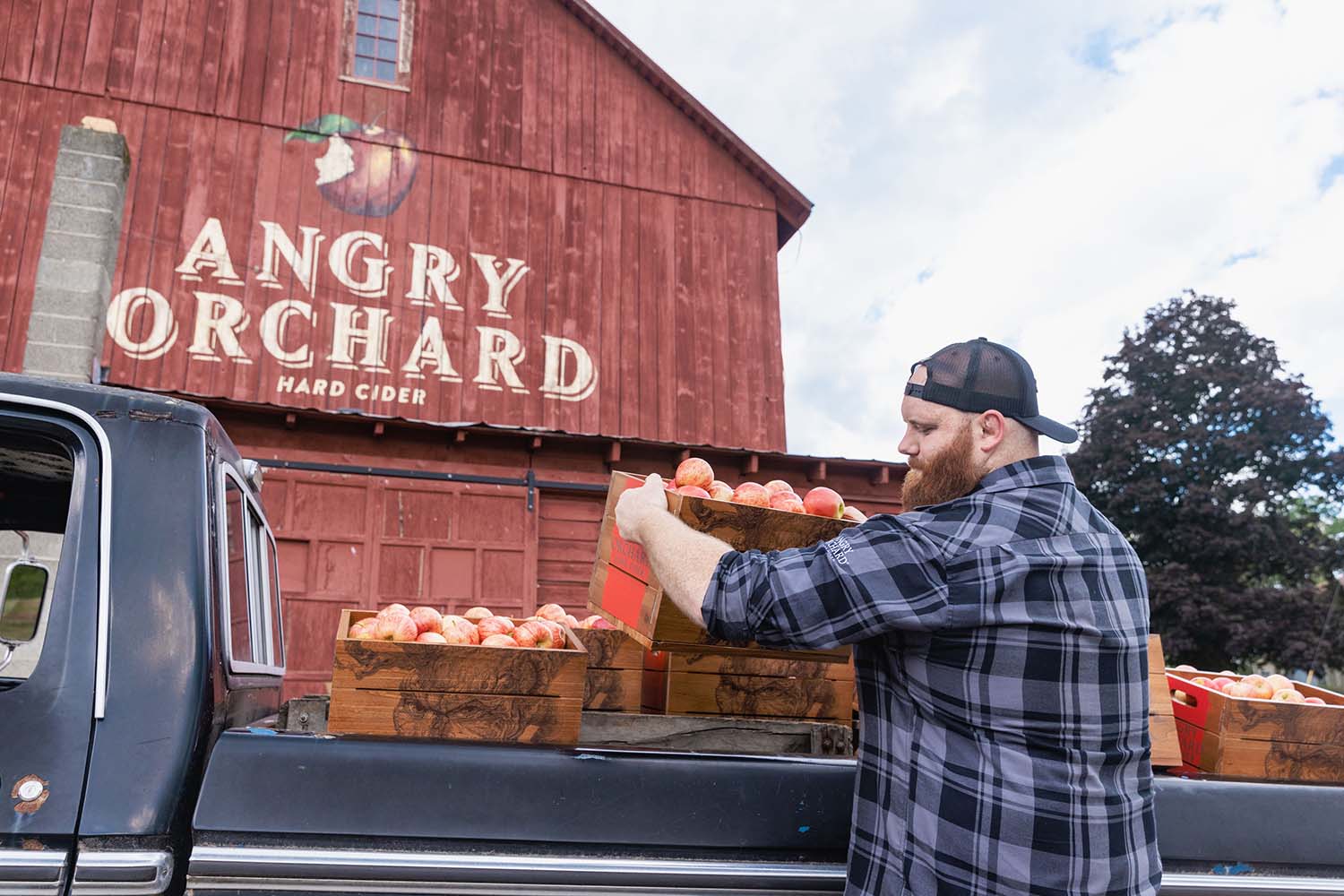 11 Angry Orchard Vitamins To Boost