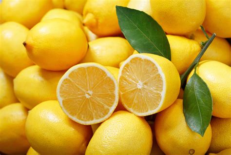 11 Fun Facts About Lemons Facts Net