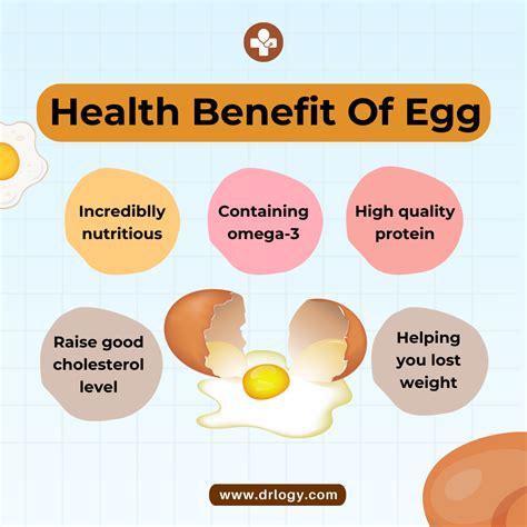 12 Egg Benefits For A Healthy Diet