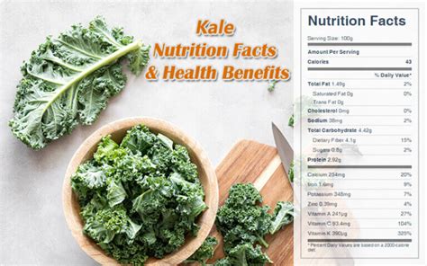 12 Kale Nutrients: Unlocking Its Nutritional Power