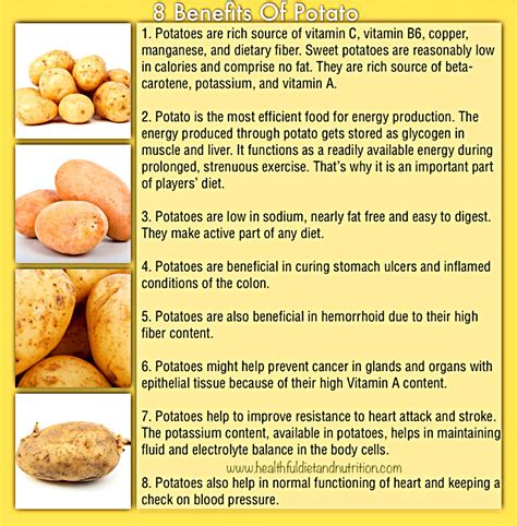 12 Yellow Potato Benefits For A Healthier Diet