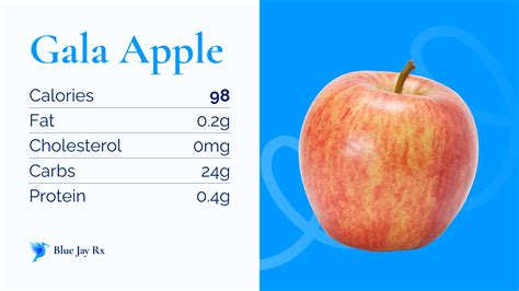 14+ Gala Apple Nutrition Tips For Healthy Living