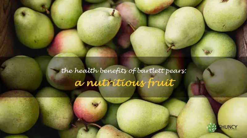 15+ Bartlett Pear Health Benefits Explained