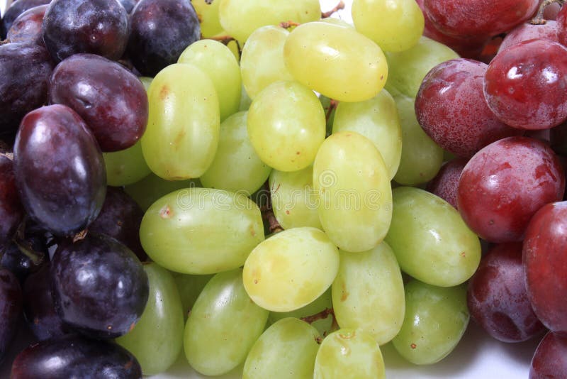 15 Different Types Of Grapes