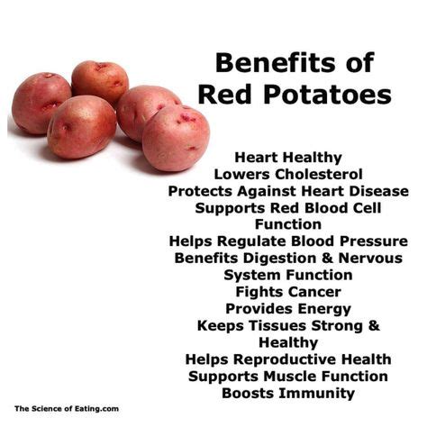 15+ Red Potatoes Health Benefits