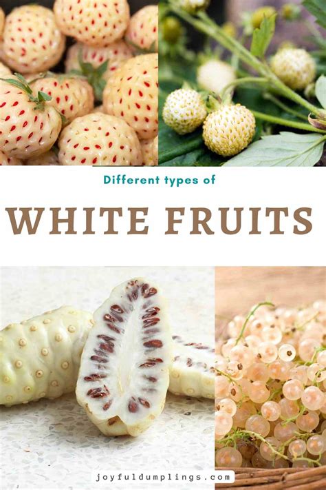 21 Different White Fruits And Their Health Benefits Joyful Dumplings