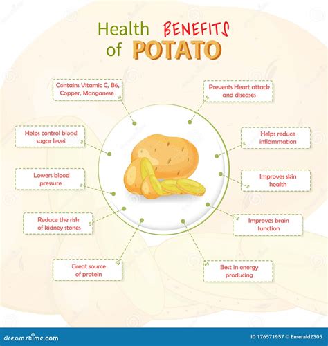 6 Baked Potato Nutrition Benefits For You