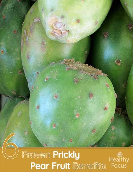 6 Proven Prickly Pear Fruit Benefits Healthy Focus