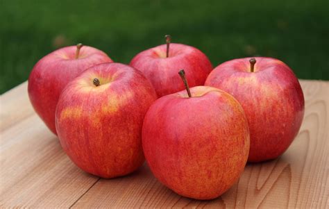 6 Ways To Enjoy Gala Apples Buy Low Foods