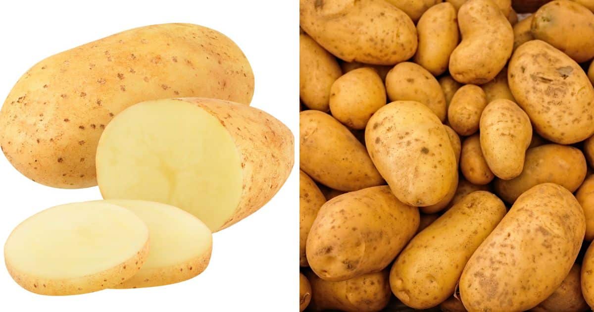 Are White Potatoes Paleo