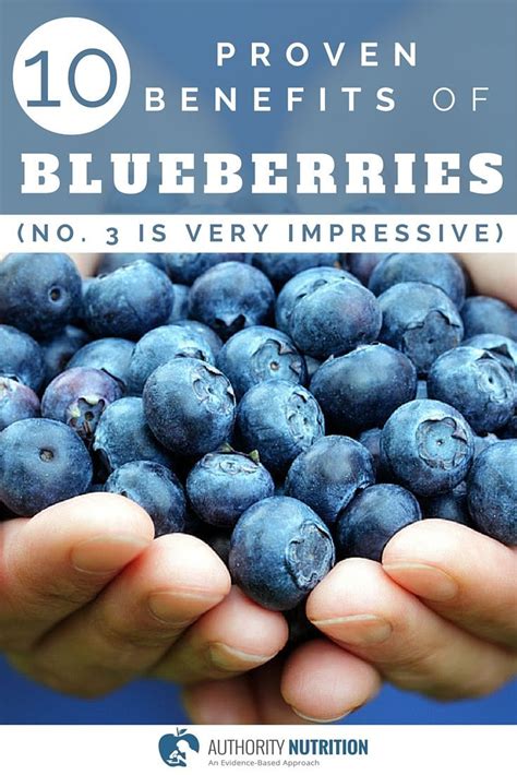 Blueberries: A Powerful Antioxidant Source