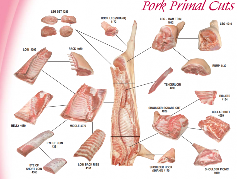 Butcher Pork Cuts Diagram