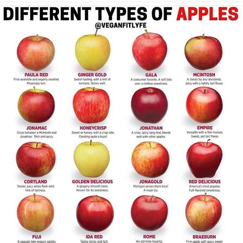 Calories In Gala Apples: A Comprehensive Guide