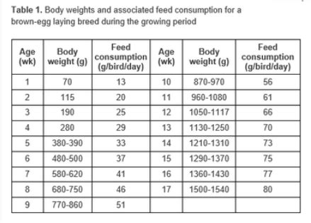 Chicken Nutritional Requirements And Diet Formulations Nutrition For