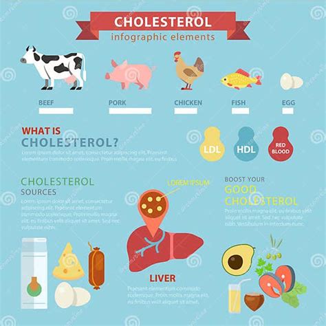 Cholesterol Sources Flat Infographic Meat Ingredients Stock