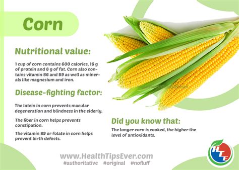 Corn Nutrition Facts And Health Benefits Veggies Info