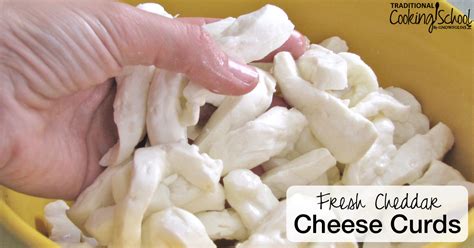 Easy Way To Make Delicious Fresh Cheddar Cheese Curds