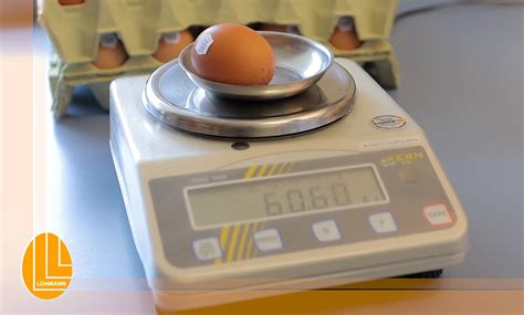 Egg Weight Loss Lohmann Breeders