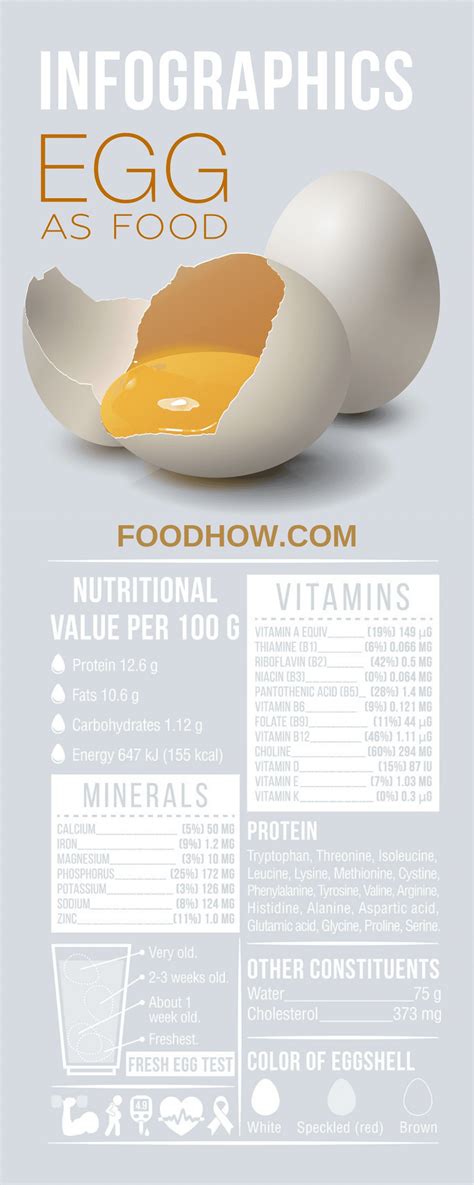 Eggs Recipes Nutritional Value Egg Traceability