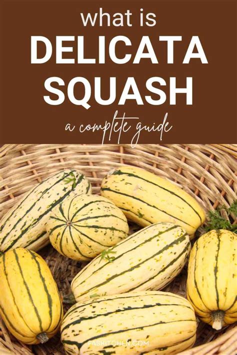 Explore Delicata Squash: A Complete Health Companion