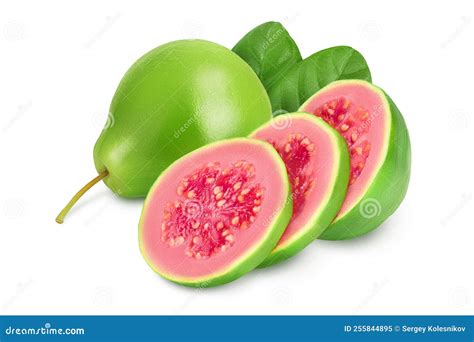 Guava Fruit Slices Isolated On White Background With Full Depth Of Field Stock Photo Image Of