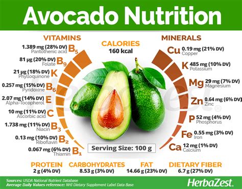 Hass Avocado Nutrition Small Besto Blog