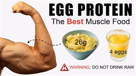 How Egg Noodles Support Muscle Growth? Protein