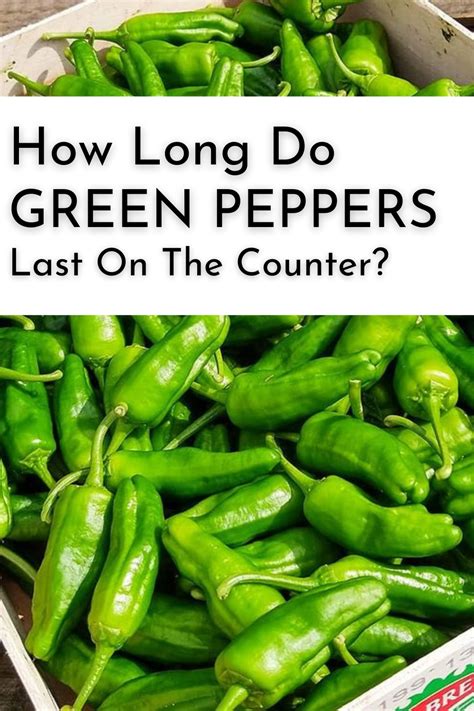 How Long Do Green Peppers Last In The Fridge Storage Tips