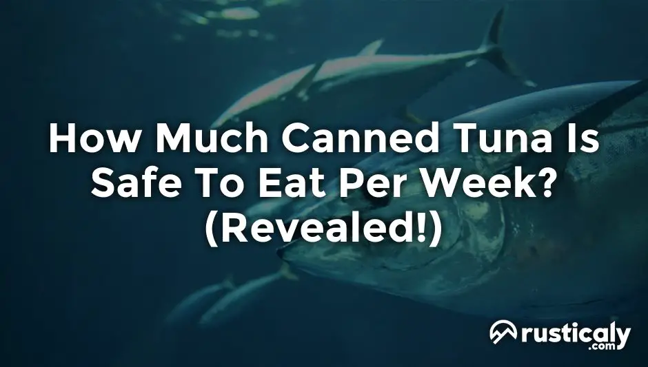 How Much Canned Tuna Is Safe To Eat