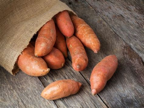 How To Tell If A Sweet Potato Is Bad Storage Tips Caitey Jay