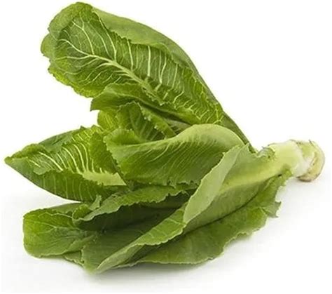 How To Use Romaine Lettuce At Home As With All Produce Fresh Is Best