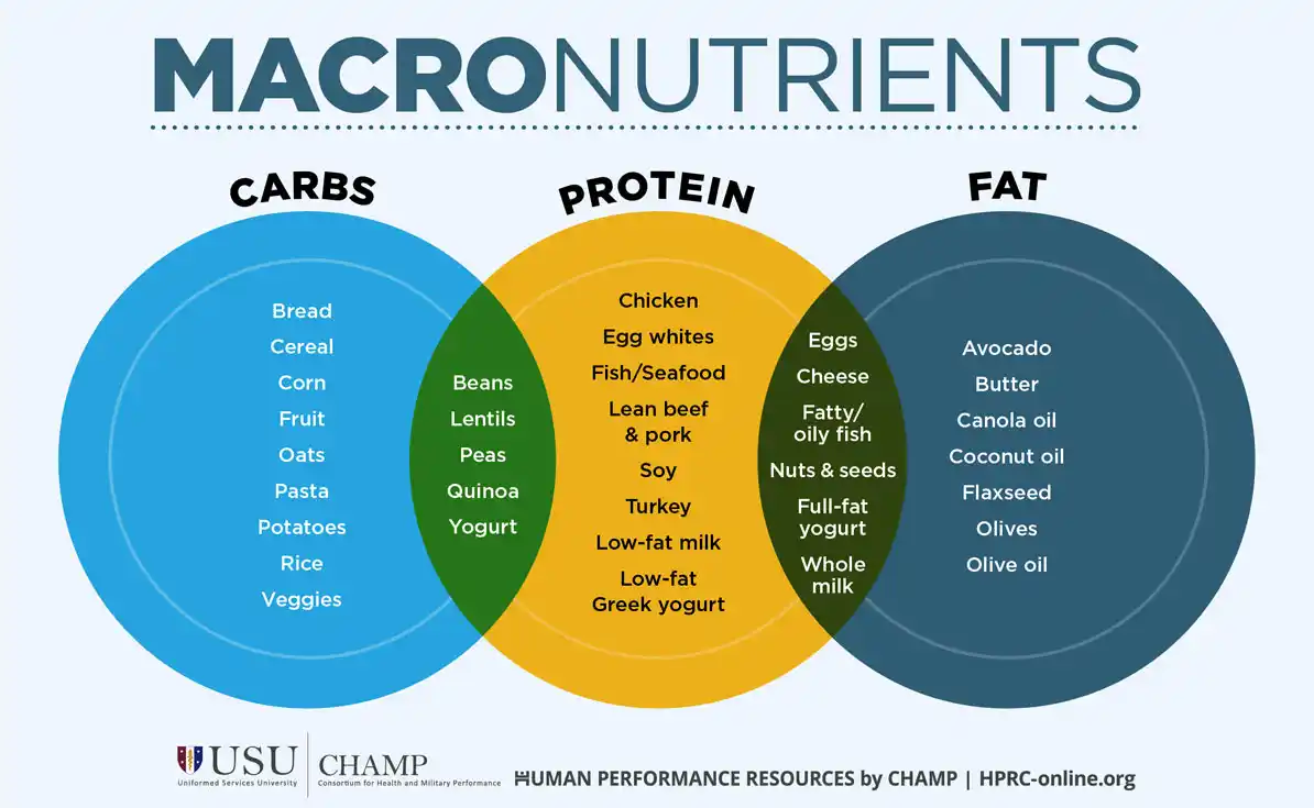 Macronutrients Health Mil