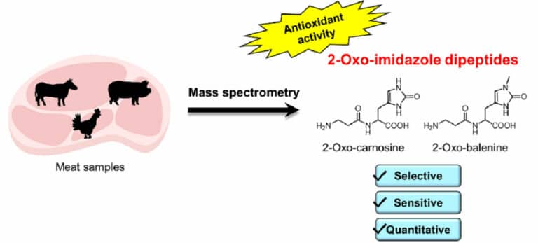 New Antioxidants In Beef Chicken And Pork Carni Sostenibili