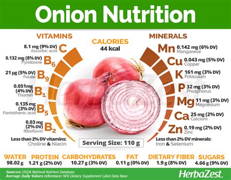 Onion Calorie Guide