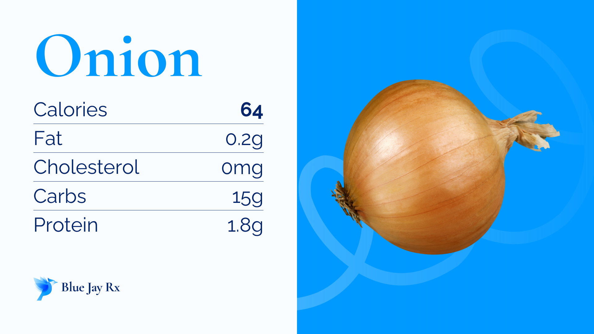 Onion Calories Breakdown