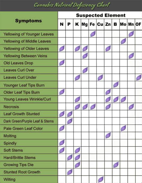 Prosciutto Nutrient Guide