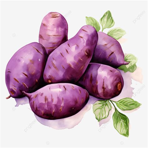 Purple Sweet Potato Bulb Purple Sweet Potato Sweet Potato Bulb Sweet Potato Png Transparent