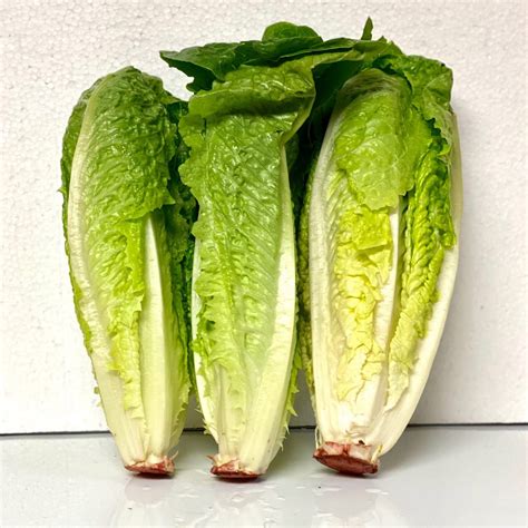 Romaine Hearts 3Ct Pack Teddy Bear Fresh Produce