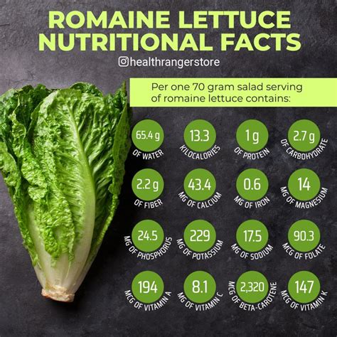 Romaine Lettuce Nutritional Value