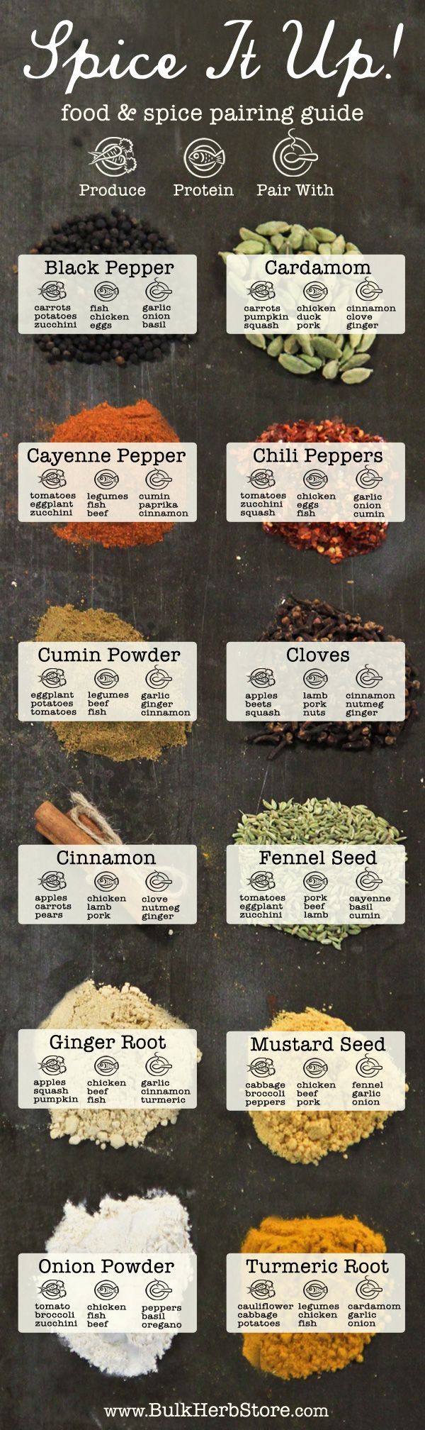 Spice Pairing Guide Infographics Pinterest