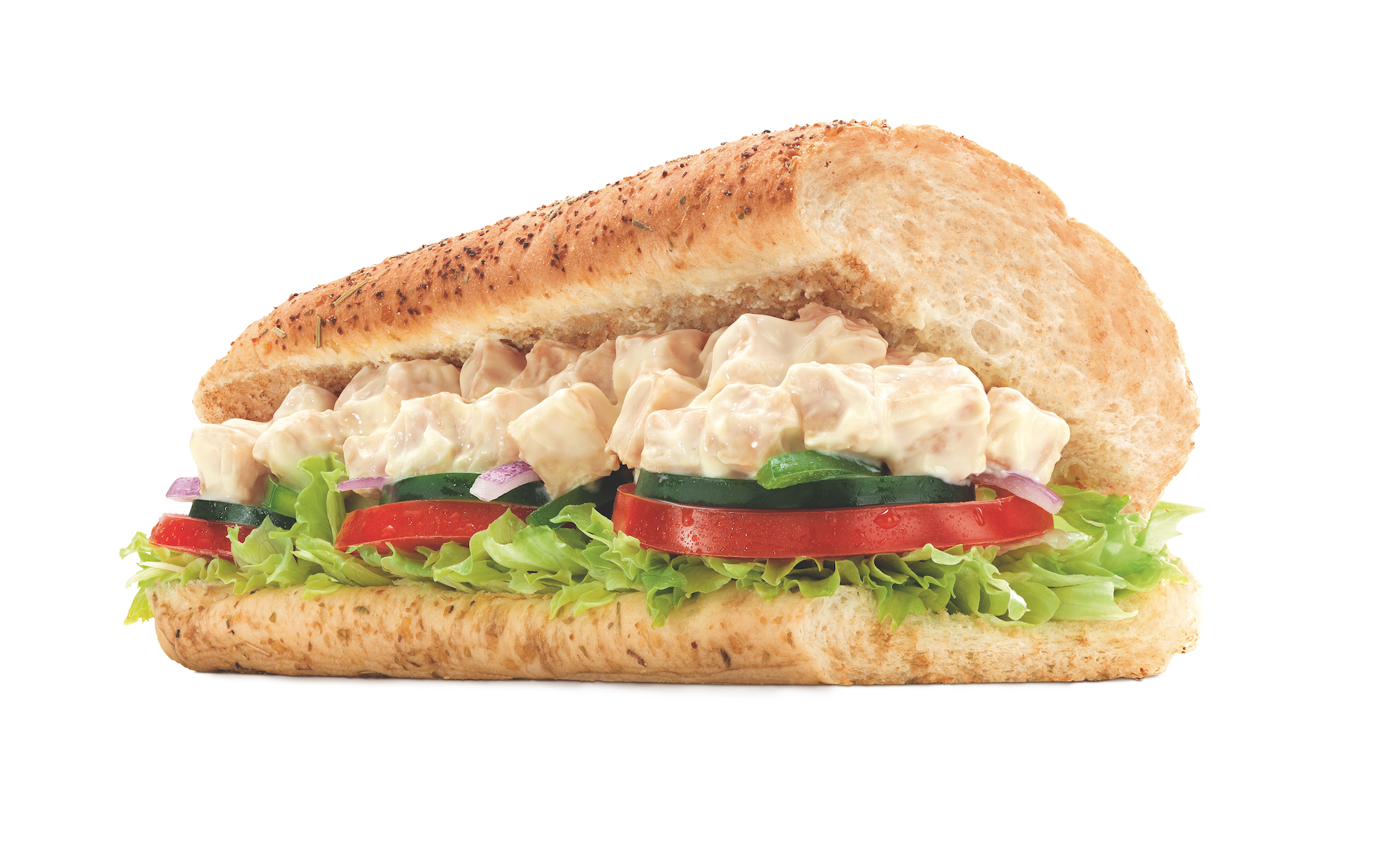 Subway Sandwich Ideas Examples And Forms