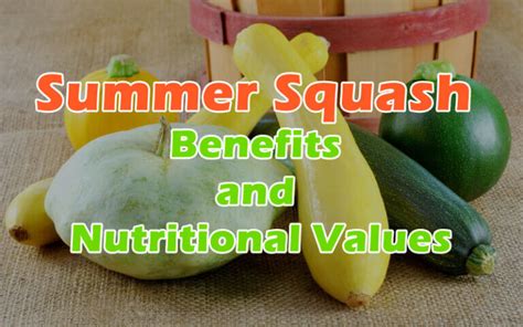 Summer Squash Benefits And Nutritional Values Cookingeggs