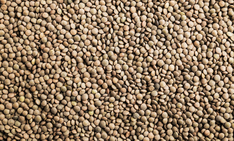 The Health Benefits Of Including Lentils In Your Diet Askmeall