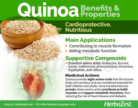 The Quinoa Advantage: A Quick Guide To A Fitter You