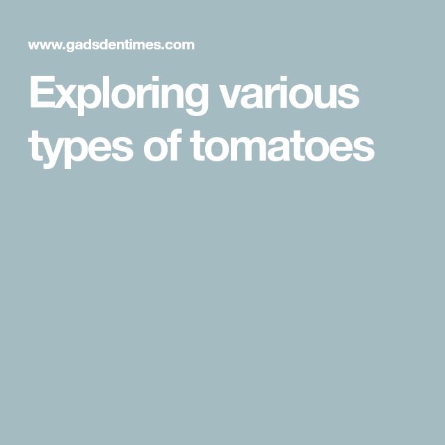 Tomatoes: Exploring The Carbohydrate Profile For Healthconscious Individuals