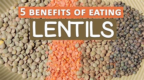 Top 5 Benefits Of Eating Lentils Dailyveganlife Com