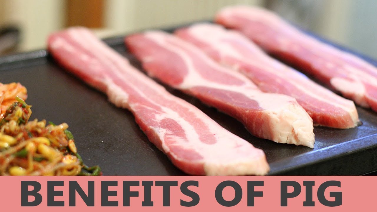 Top 5 Health Benefits Of Pork High Protein Foods Pork Chops